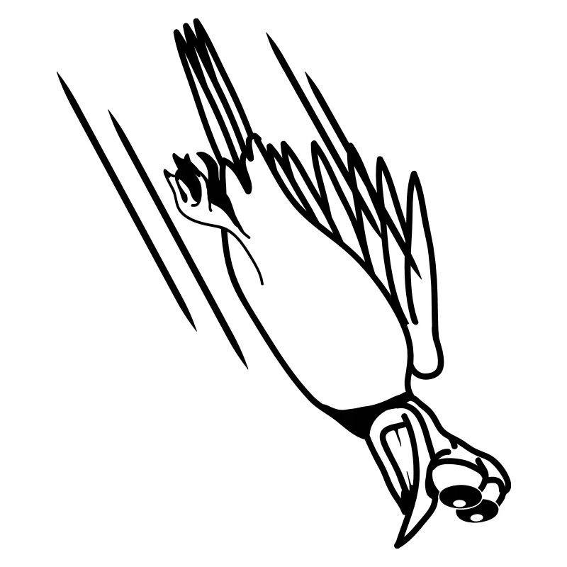 witzig Vogel Absturz Cool lustig Comic