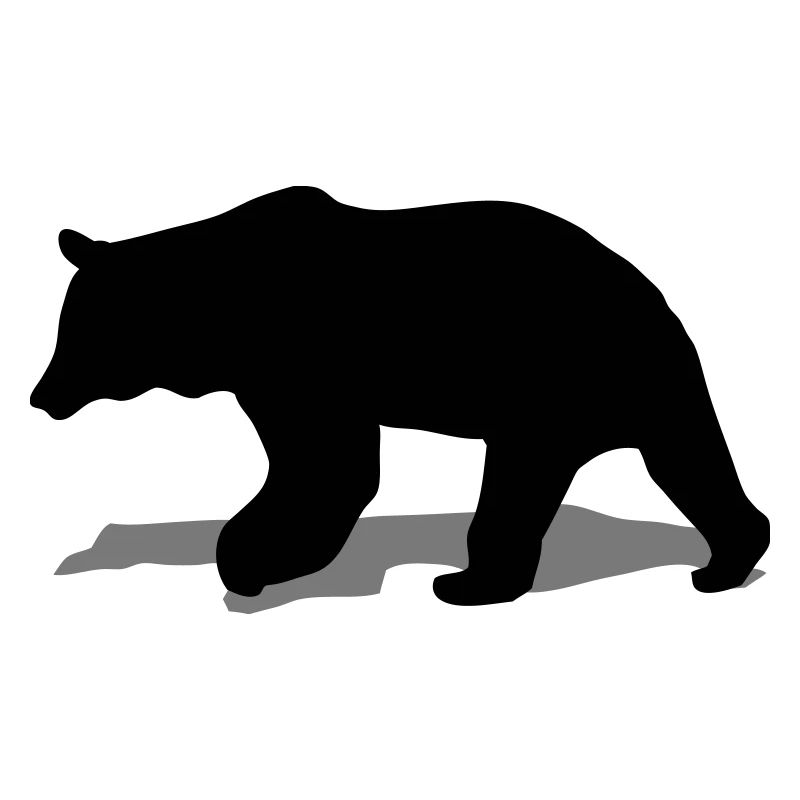 bear - brown bear - hunting - hunter