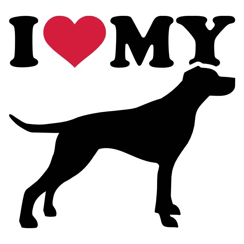 English Pointer
