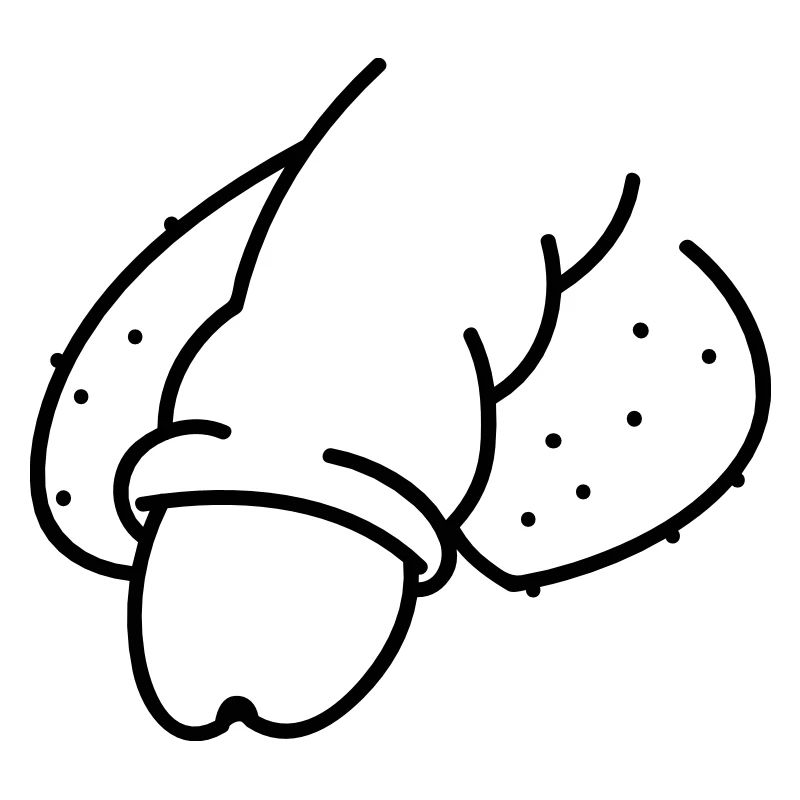 Dick