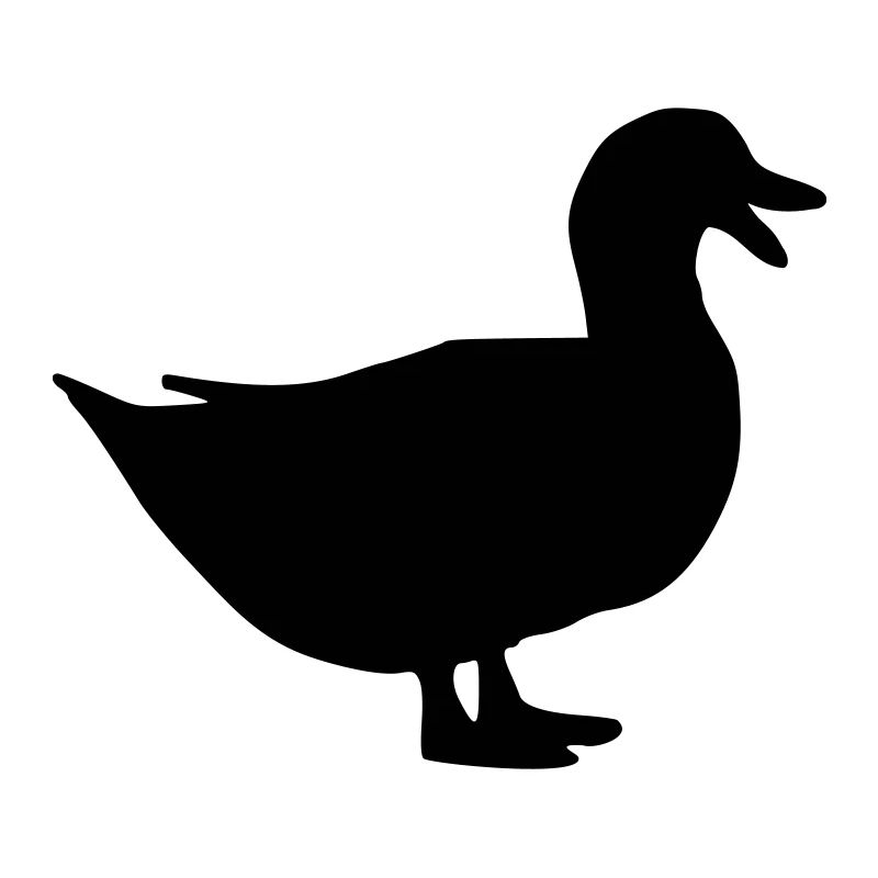 Canard