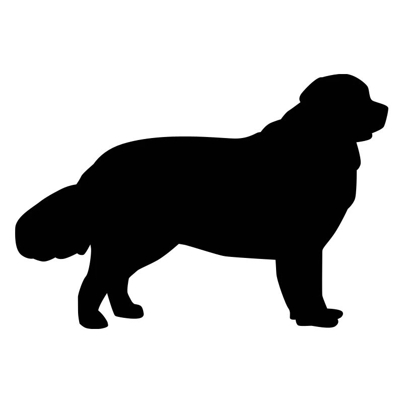 Newfoundland