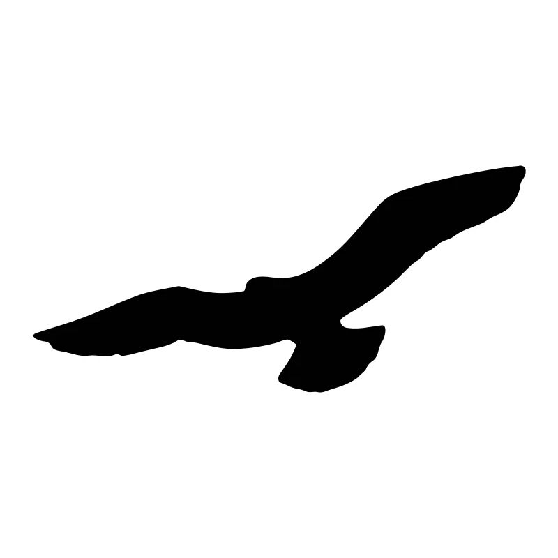 oiseau