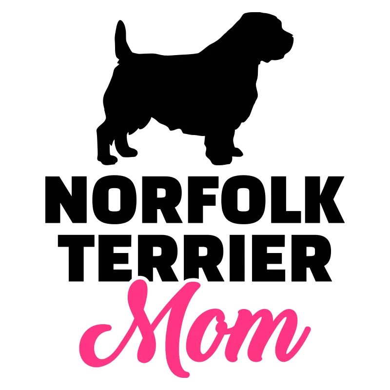 Norfolk Terrier