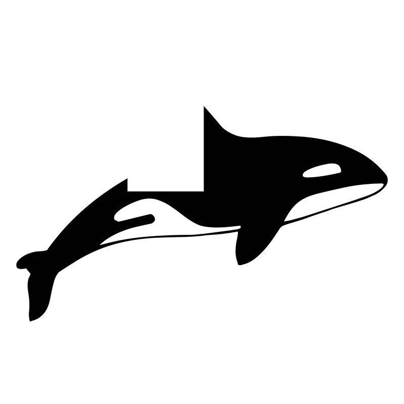 dolphin