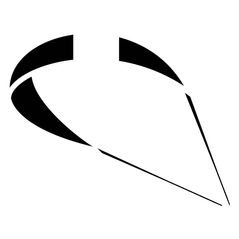 Gleitschirm Kite