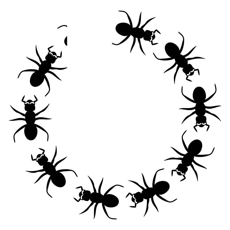 Ant insect district