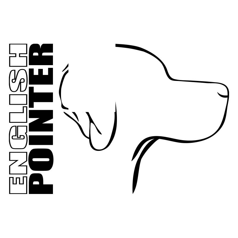 ENGLISH POINTER PROFIL