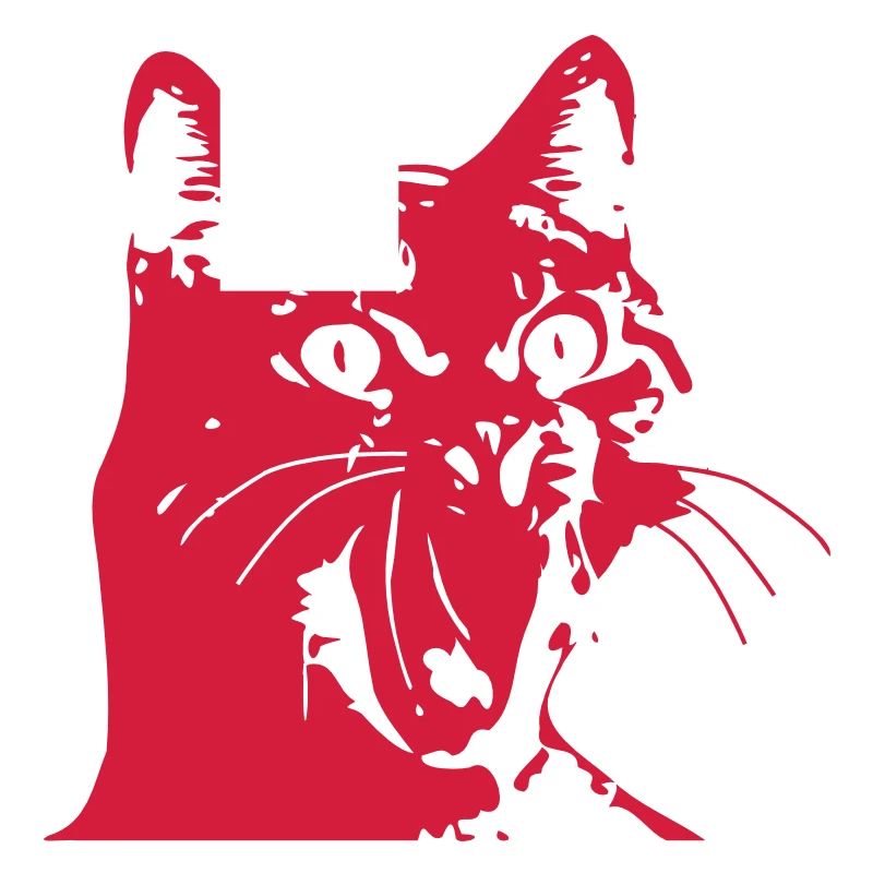 Chat OMG!