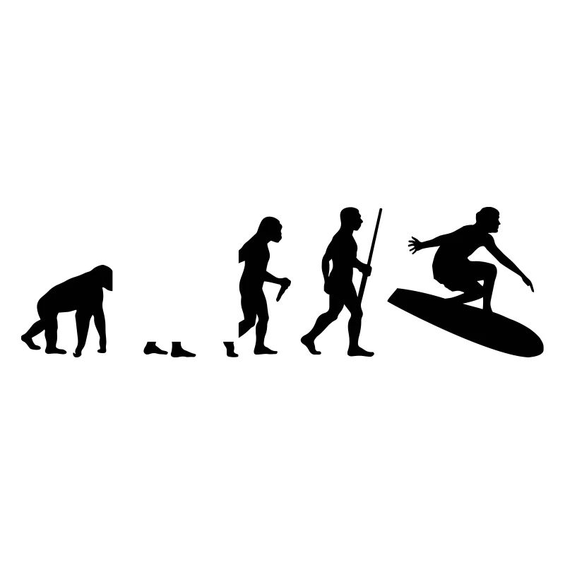 Surf Evolution
