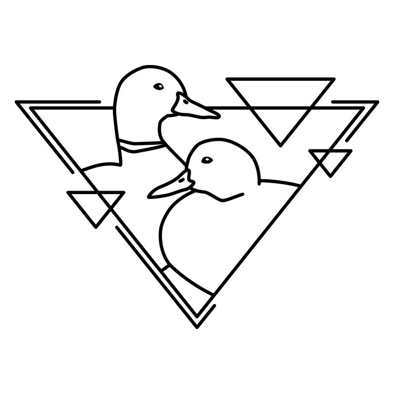 Two ducks in geometric design