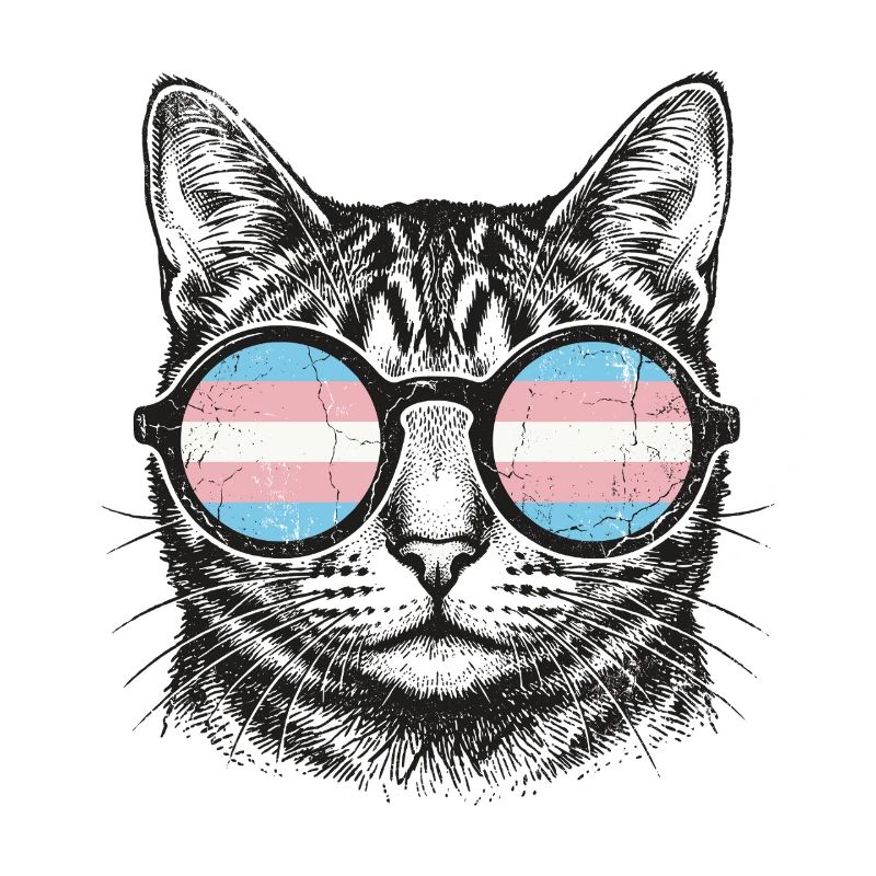 LGBT-Pride-Monat – Trans-Pride-Katze