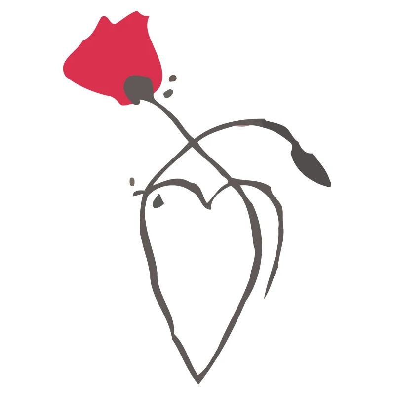 Mohn und Herz