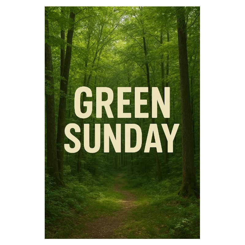 Dimanche vert dans la forêt