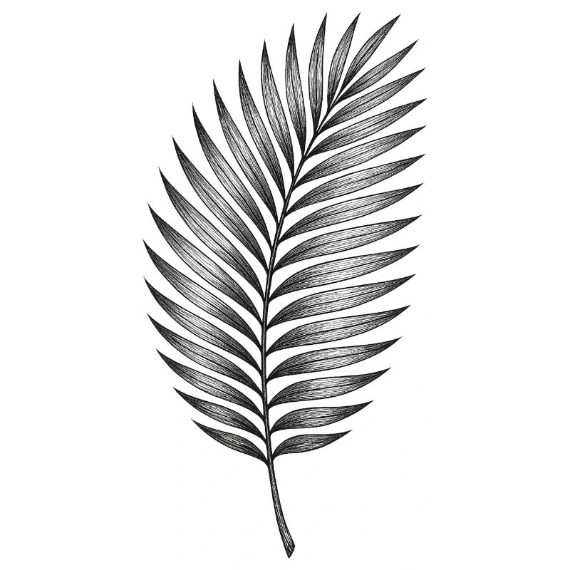 Black palm leaf pattern