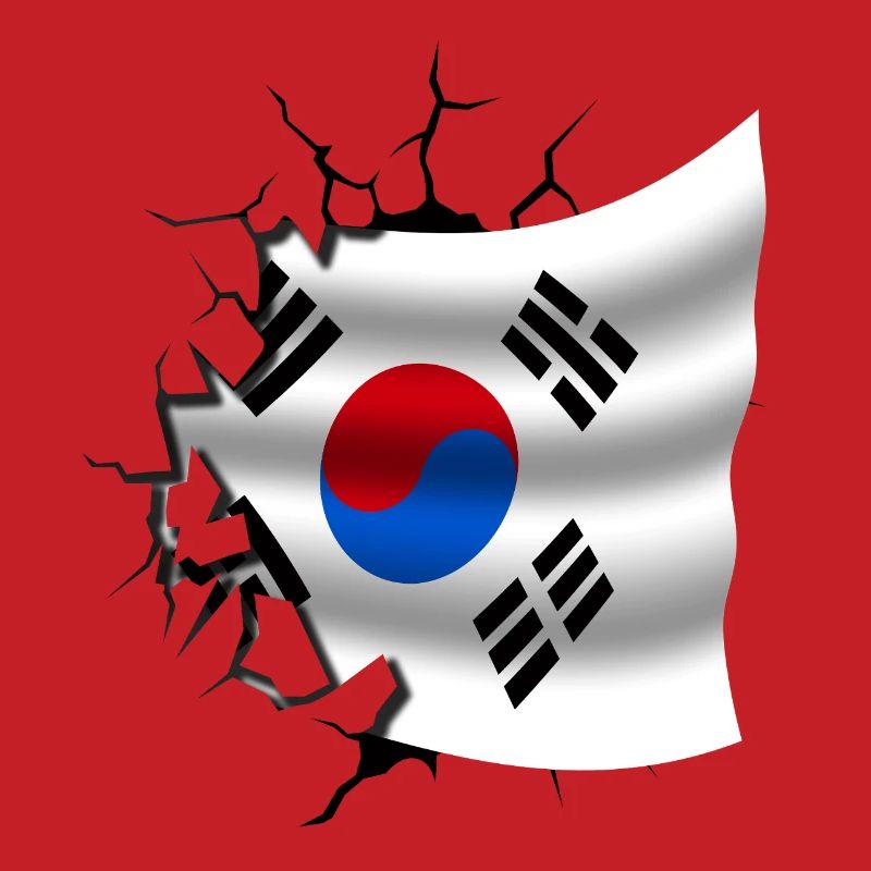 Drapeau de la Corée - Corée - Drapeau Broken Design