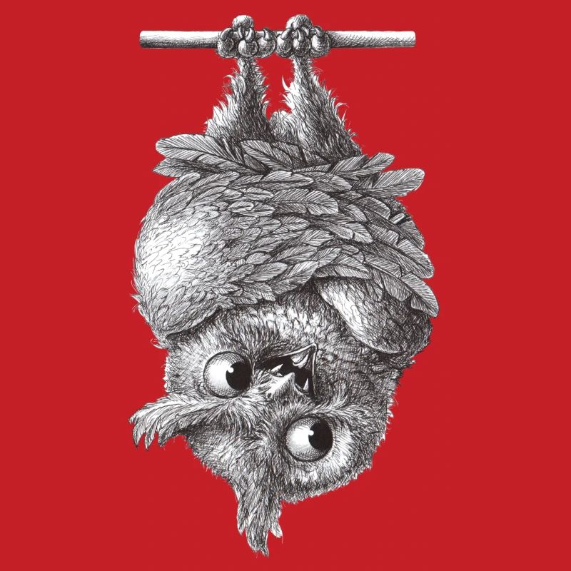 Vampir Eule - Dracula Eule