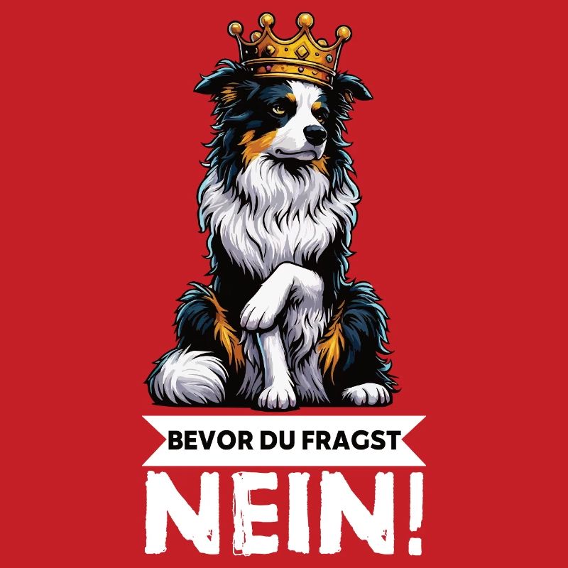 Bevor Du Fragst Australian Shepherd Aussie Aussie
