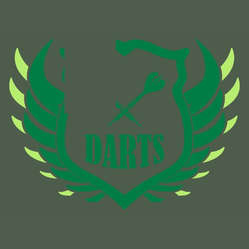 darts shield