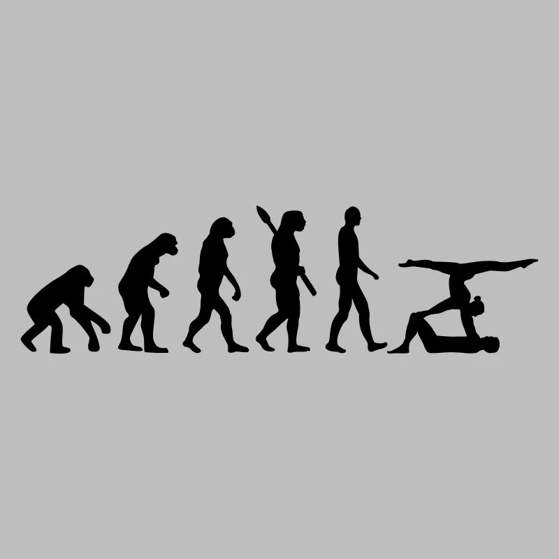 Évolution Acrobatie