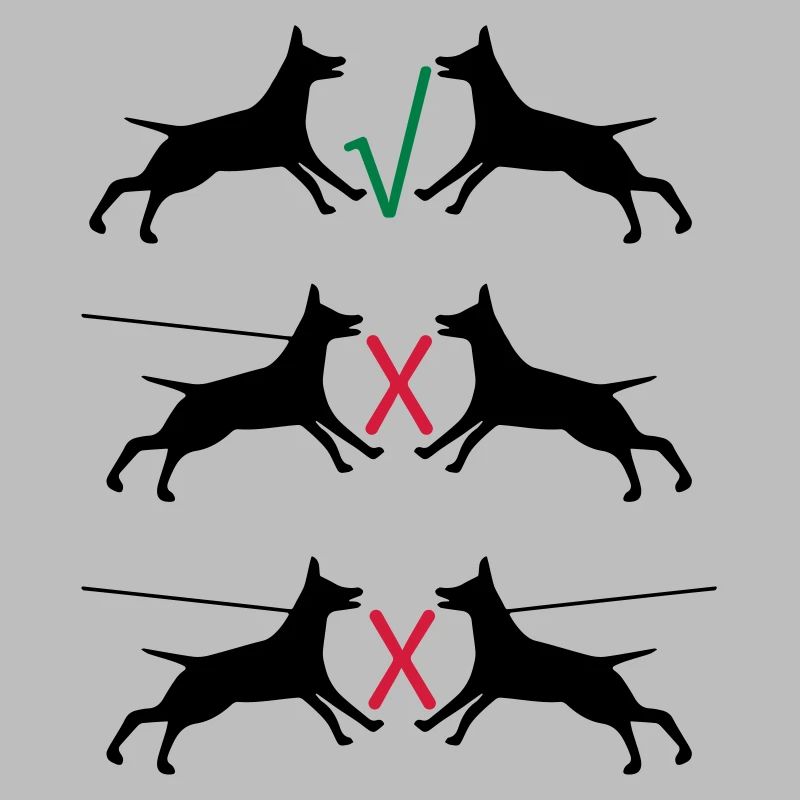 Les chiens en laisse