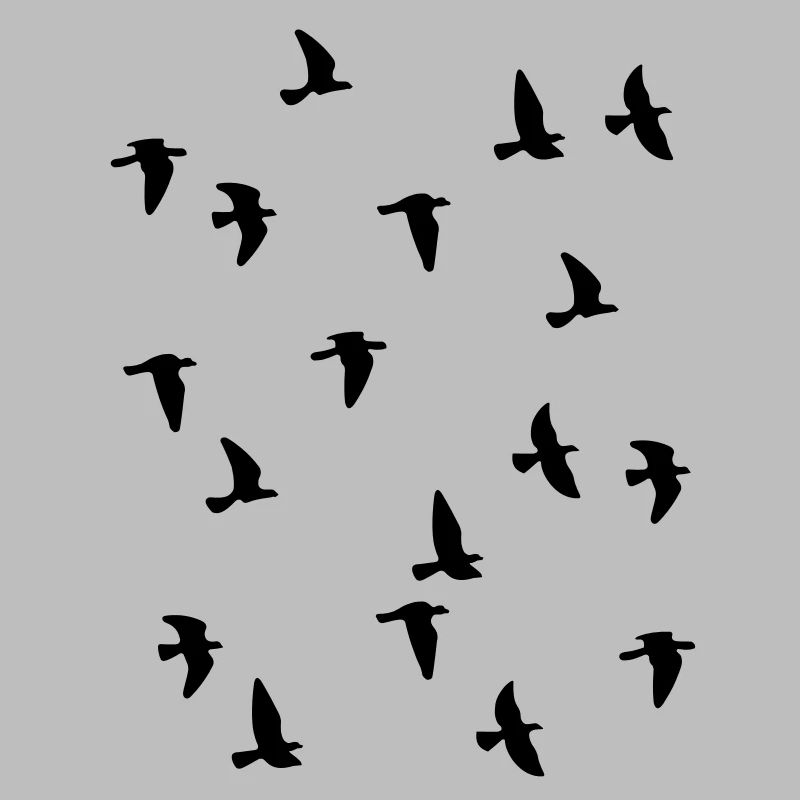 Bird Flock
