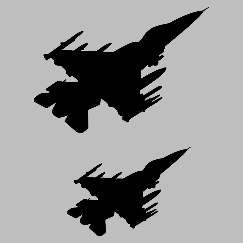 Jets de combat