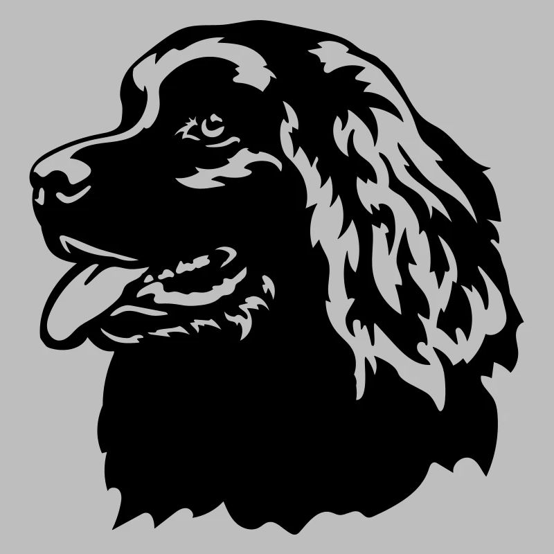 Newfoundland Head