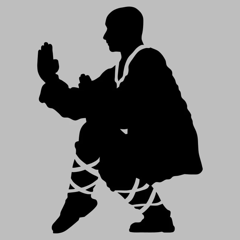 Kung fu Shaolin