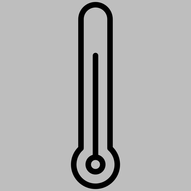 Thermometer