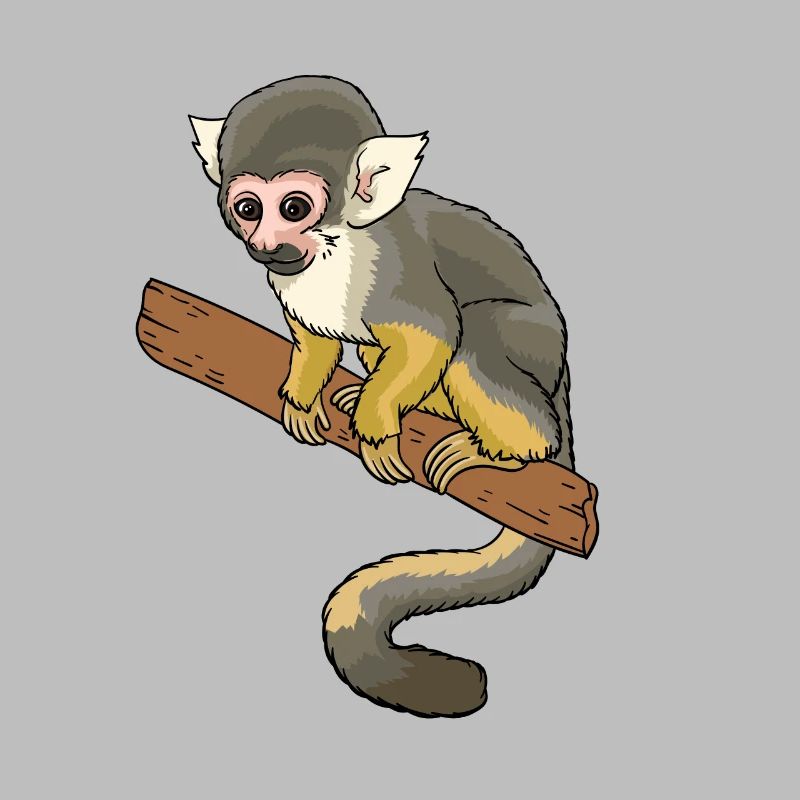 Squirrel monkey squirrel monkey primate