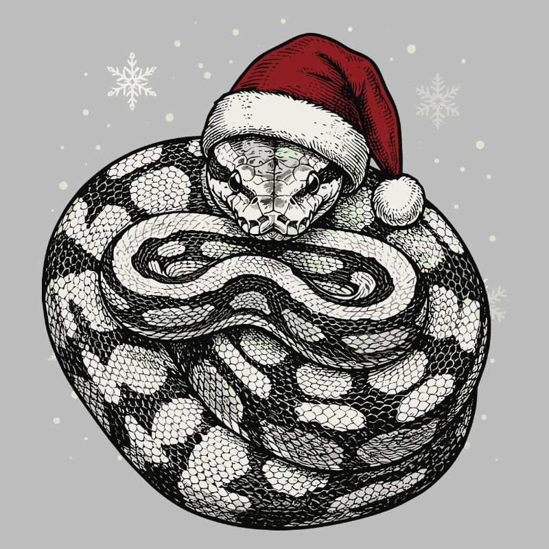 Königspython Weihnachten Ball Python Schlange