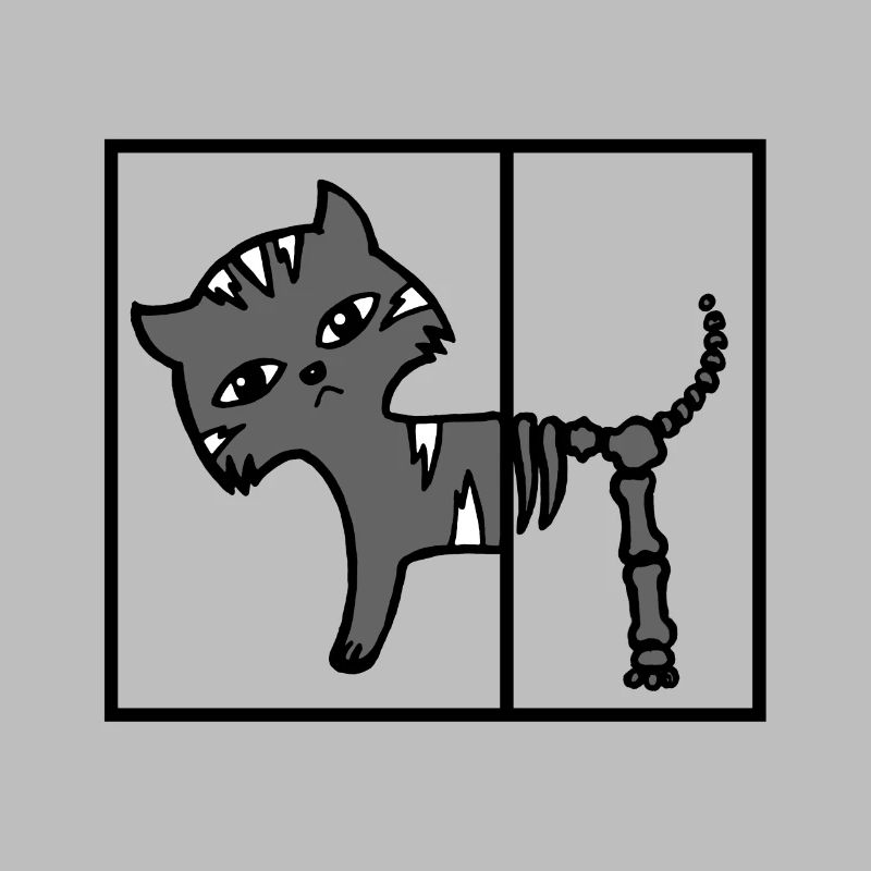 Schroederer Cat Schrödinger's cat physics