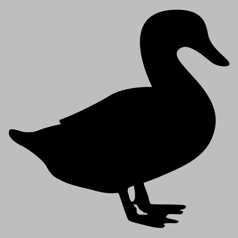 duck / duck / quack