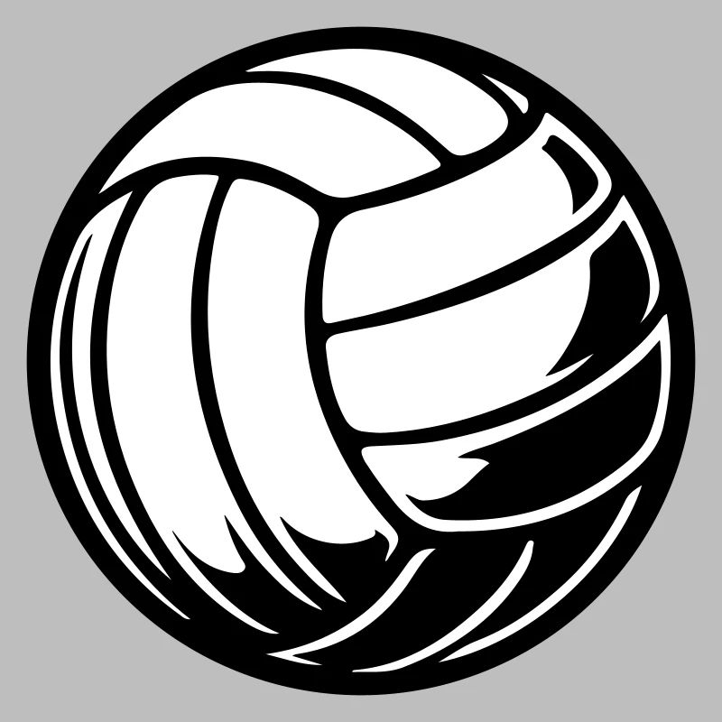 Volleyball Ball