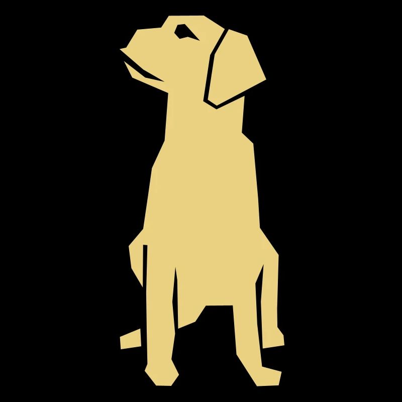 Labrador / chien-guide