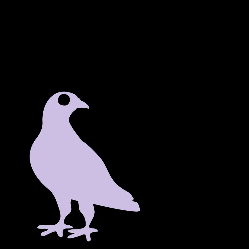 Lustige Taube