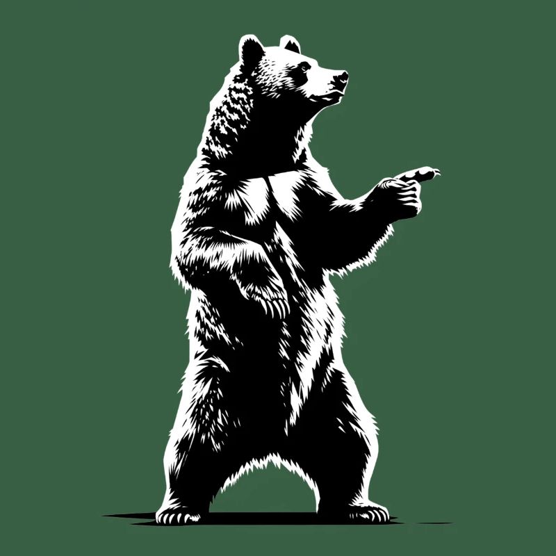Ours explicatif de danse | Index de l’enseignant