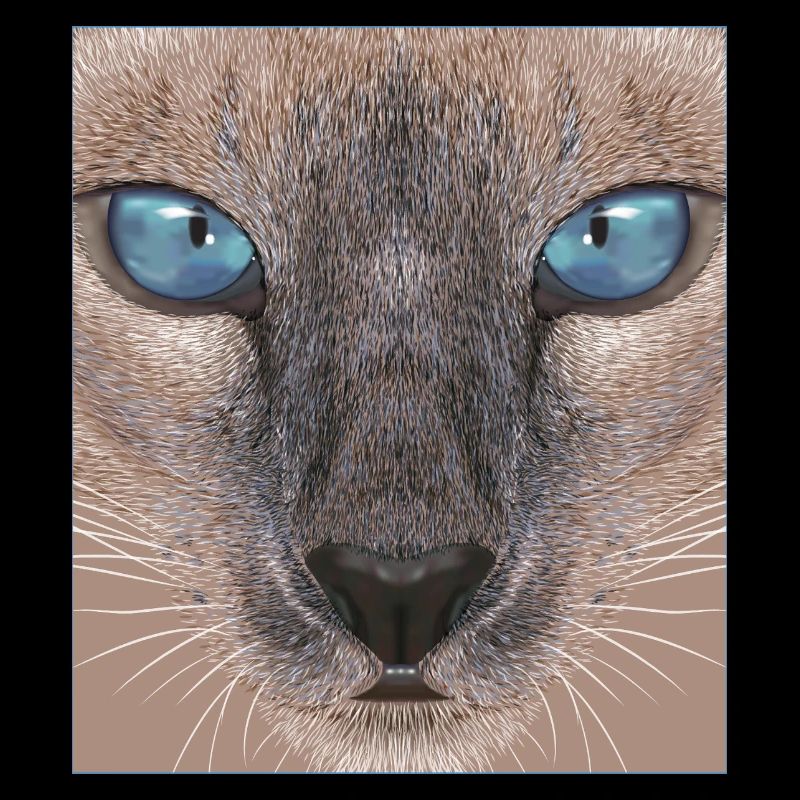 Chat siamois