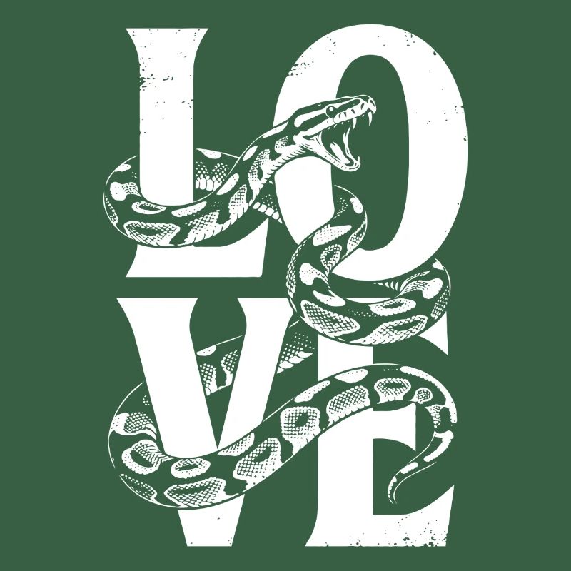 Königspython Schlangen LOVE Terrarium Python