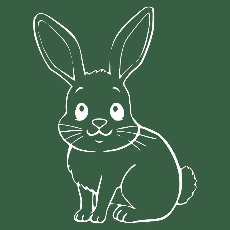 Rabbit Bunny Bunny Dwarf Rabbit Gift