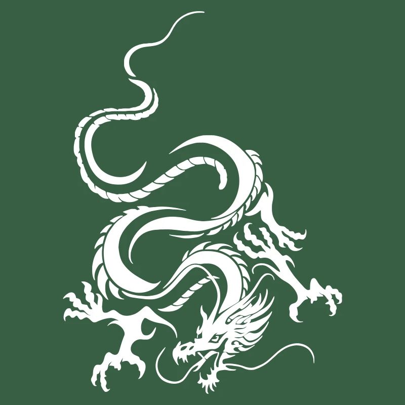 Dragon Blanc Art graphique complexe
