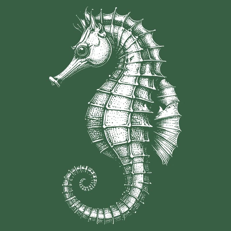 Hippocampe