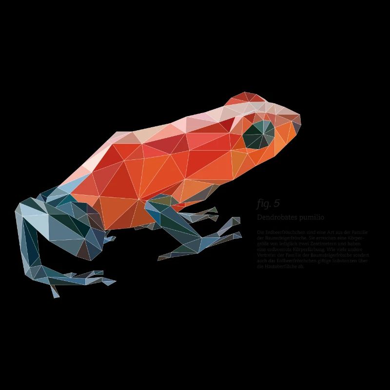 fig5_polygonpfeilgiftfrosch