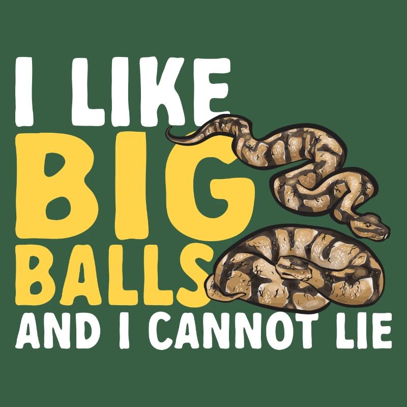 Ball Python Snake King Python