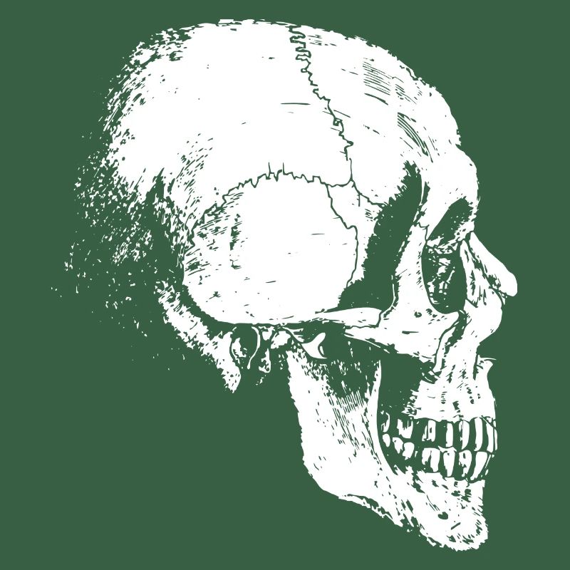 skeleton head
