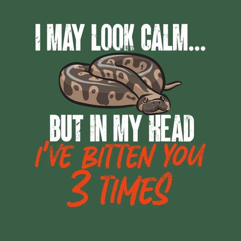 Ball Python Snake King Python