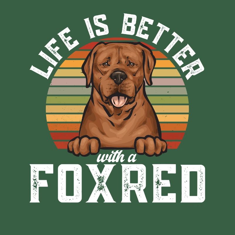 Fuchsroter Labrador Retriever Fox Red Labrador