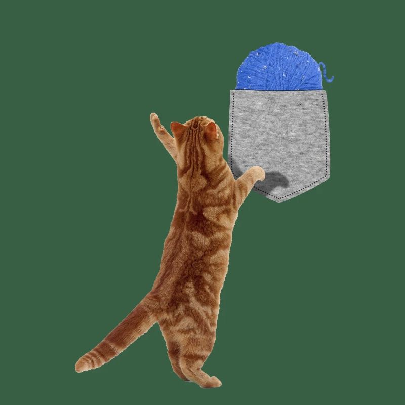 Katze, die nach Wollball in Ihrer falschen Tasche greift Spaß