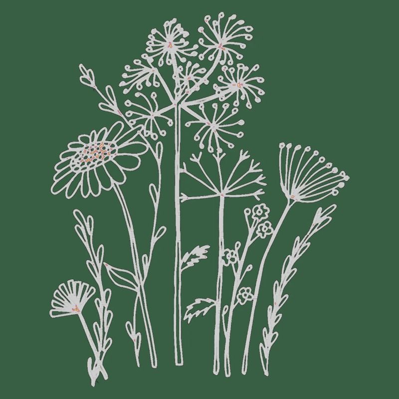 Dried flowers
